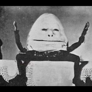 Meet your Posher, Liam